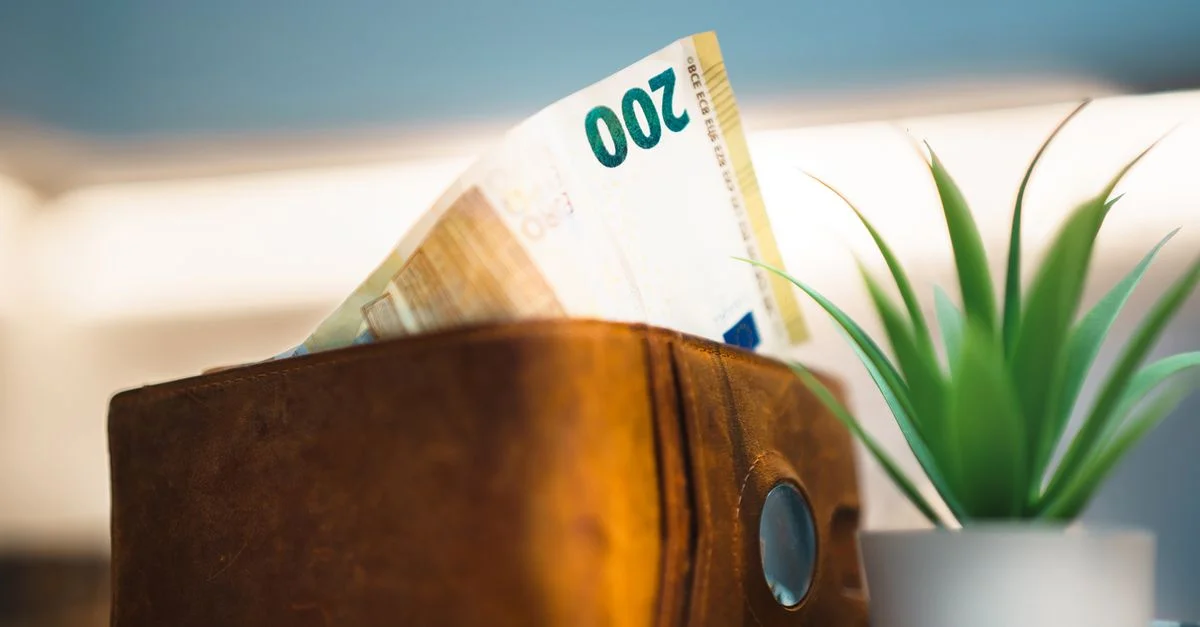 Gros plan d'un portefeuille en cuir contenant des billets en euros à côté d'une petite plante, symbolisant l'épargne.